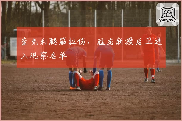奎克利腿筋拉伤,猛龙新援后卫进入观察名单