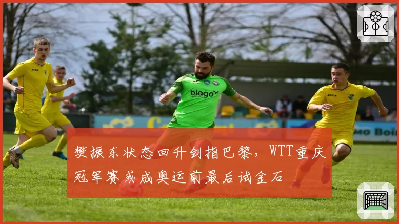 樊振东状态回升剑指巴黎,WTT重庆冠军赛或成奥运前最后试金石