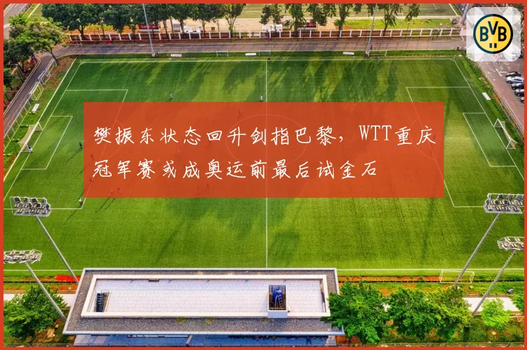 樊振东状态回升剑指巴黎,WTT重庆冠军赛或成奥运前最后试金石