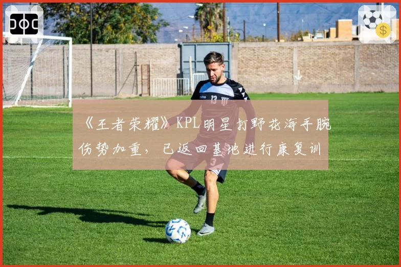 《王者荣耀》KPL明星打野花海手腕伤势加重，已返回基地进行康复训练